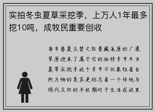 实拍冬虫夏草采挖季，上万人1年最多挖10吨，成牧民重要创收