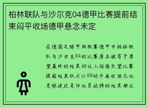 柏林联队与沙尔克04德甲比赛提前结束闷平收场德甲悬念未定